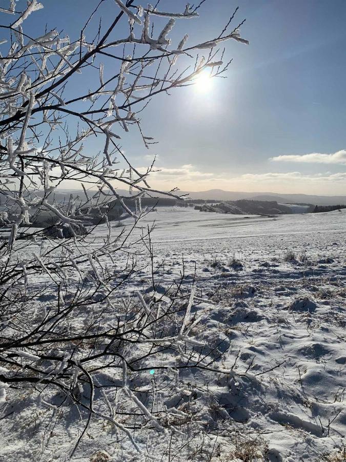Ferienwohnung Stirnbergblick Ehrenberg  Bagian luar foto