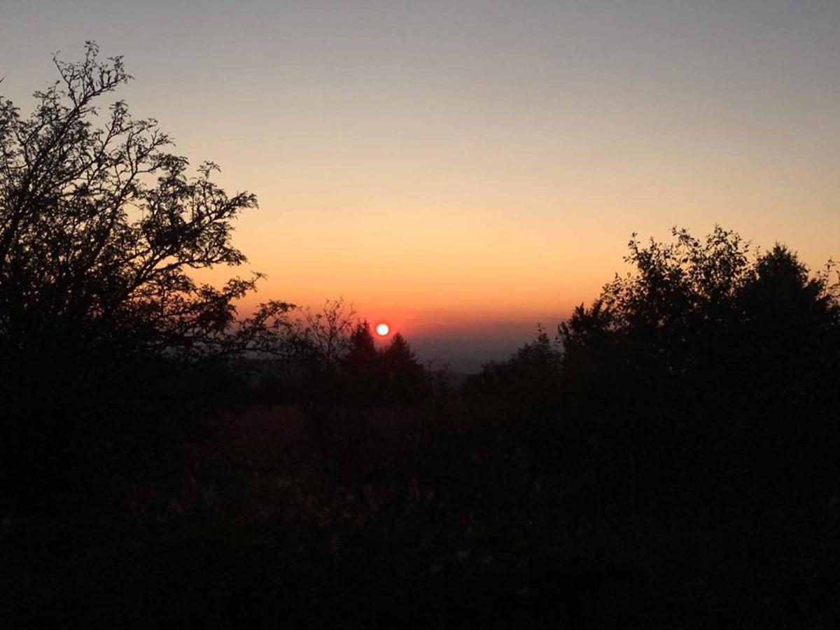 Ferienwohnung Stirnbergblick Ehrenberg  Bagian luar foto